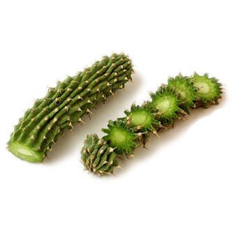 Hoodia Gordonia - Zusammensetzung Reduslim