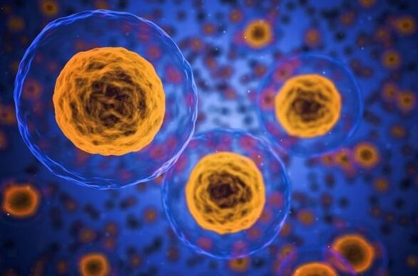 Wie läuft der Gewichtsverlustprozess ab